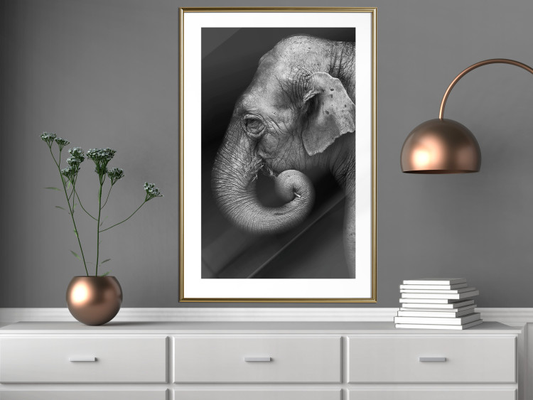 Poster Elephant Portrait - black and white composition with an African animal 116441 additionalImage 13