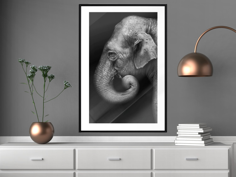 Poster Elephant Portrait - black and white composition with an African animal 116441 additionalImage 4