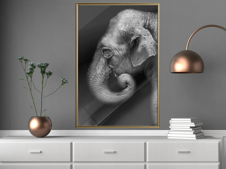 Poster Elephant Portrait - black and white composition with an African animal 116441 additionalImage 7
