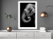 Poster Elephant Portrait - black and white composition with an African animal 116441 additionalThumb 2