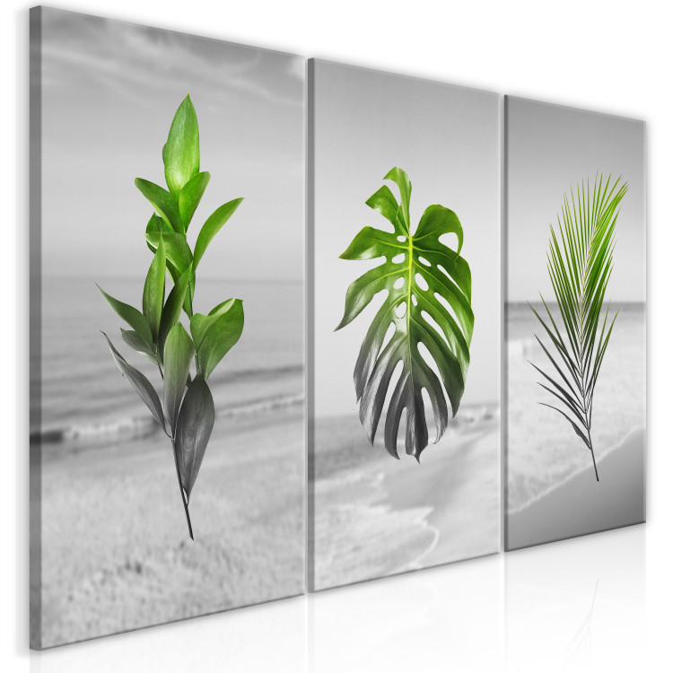 Canvas Art Print Plants (Collection) 116841 additionalImage 2