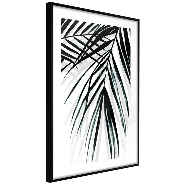 Poster Palm Relaxation - black and white composition with tropical plant leaves 119041 additionalImage 13