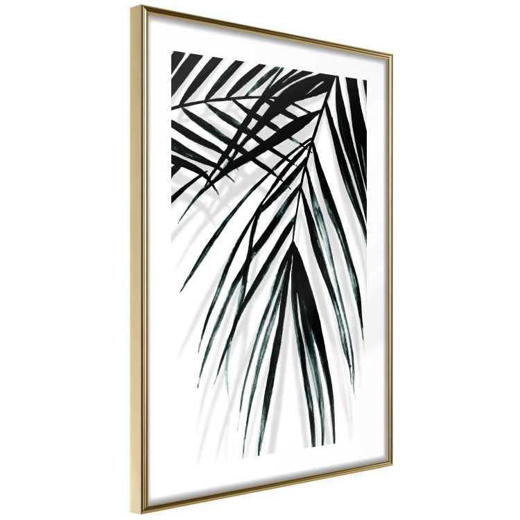 Poster Palm Relaxation - black and white composition with tropical plant leaves 119041 additionalImage 8
