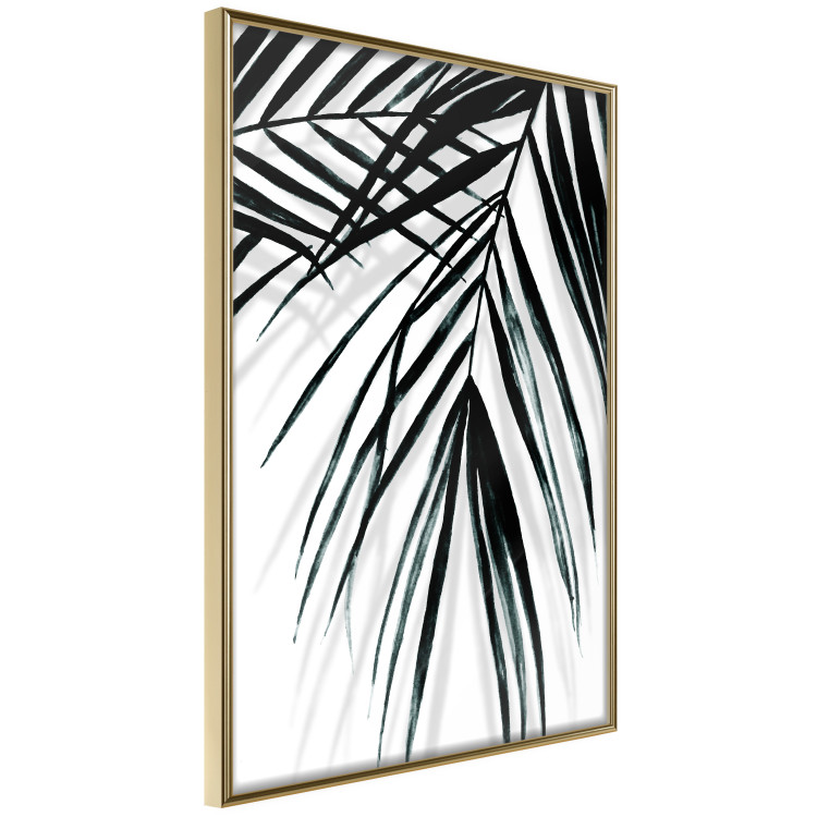 Poster Palm Relaxation - black and white composition with tropical plant leaves 119041 additionalImage 14