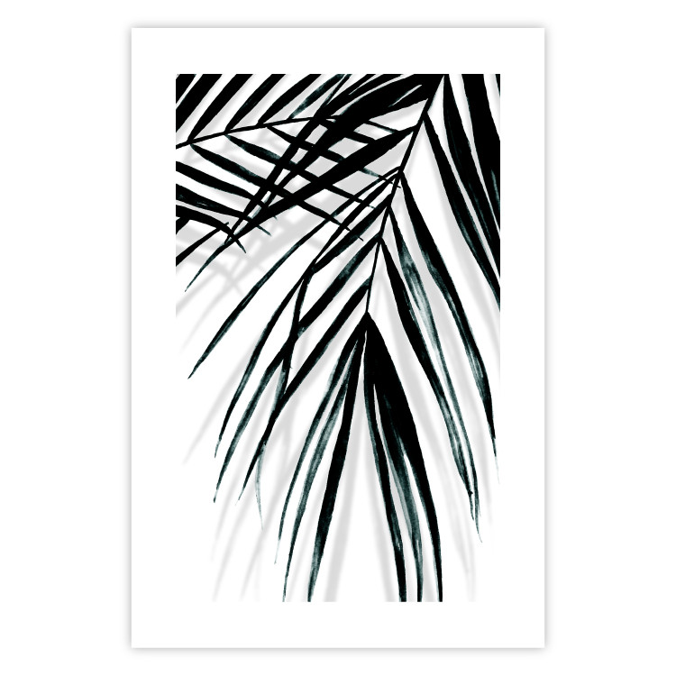 Poster Palm Relaxation - black and white composition with tropical plant leaves 119041 additionalImage 25