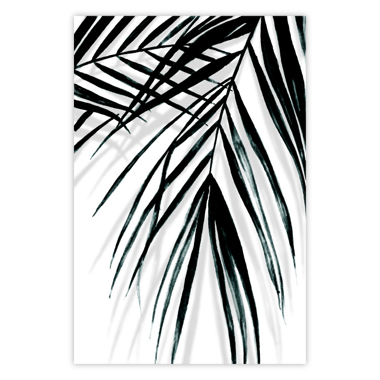 Poster Palm Relaxation - black and white composition with tropical plant leaves 119041
