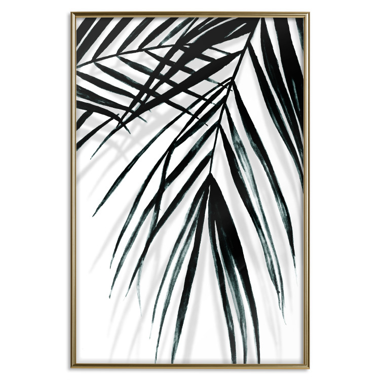 Poster Palm Relaxation - black and white composition with tropical plant leaves 119041 additionalImage 20