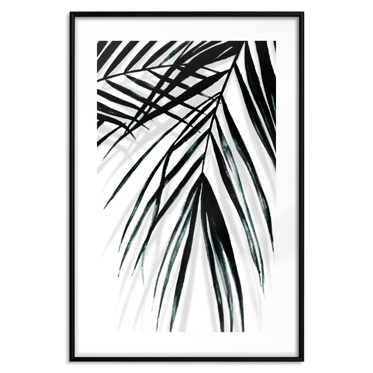 Poster Palm Relaxation - black and white composition with tropical plant leaves 119041 additionalImage 17