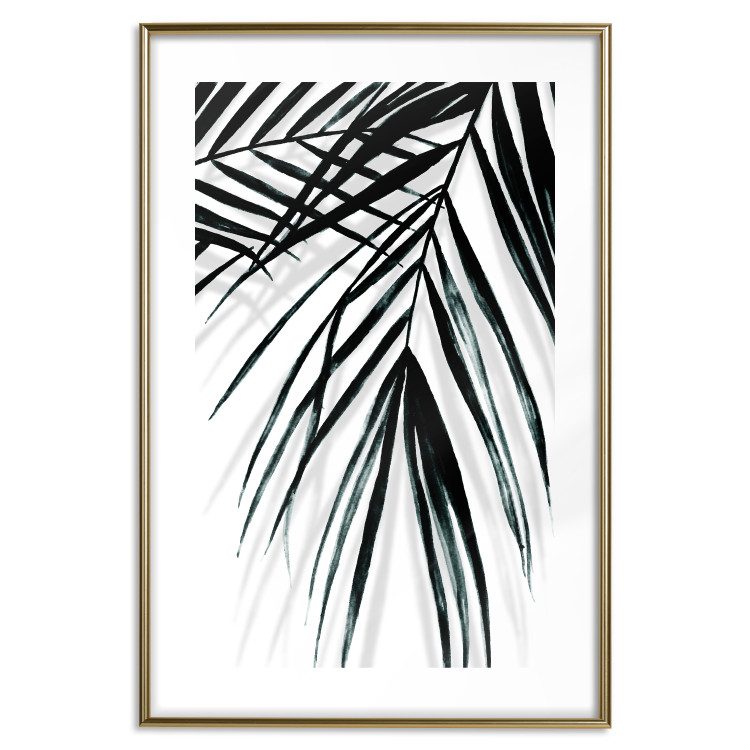 Poster Palm Relaxation - black and white composition with tropical plant leaves 119041 additionalImage 16
