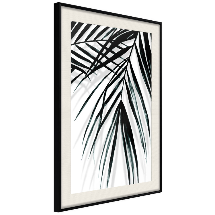 Poster Palm Relaxation - black and white composition with tropical plant leaves 119041 additionalImage 3