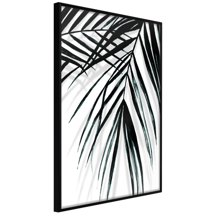Poster Palm Relaxation - black and white composition with tropical plant leaves 119041 additionalImage 12