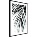 Poster Palm Relaxation - black and white composition with tropical plant leaves 119041 additionalThumb 13