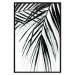 Poster Palm Relaxation - black and white composition with tropical plant leaves 119041 additionalThumb 24