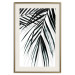Poster Palm Relaxation - black and white composition with tropical plant leaves 119041 additionalThumb 19
