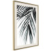 Poster Palm Relaxation - black and white composition with tropical plant leaves 119041 additionalThumb 2