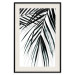 Poster Palm Relaxation - black and white composition with tropical plant leaves 119041 additionalThumb 18