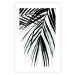Poster Palm Relaxation - black and white composition with tropical plant leaves 119041 additionalThumb 25