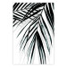 Poster Palm Relaxation - black and white composition with tropical plant leaves 119041