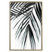 Poster Palm Relaxation - black and white composition with tropical plant leaves 119041 additionalThumb 20