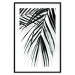 Poster Palm Relaxation - black and white composition with tropical plant leaves 119041 additionalThumb 17