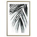 Poster Palm Relaxation - black and white composition with tropical plant leaves 119041 additionalThumb 16