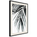 Poster Palm Relaxation - black and white composition with tropical plant leaves 119041 additionalThumb 3