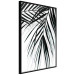 Poster Palm Relaxation - black and white composition with tropical plant leaves 119041 additionalThumb 12
