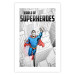 Poster World of Superheroes - superhero character and English captions 123641 additionalThumb 25