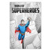 Poster World of Superheroes - superhero character and English captions 123641