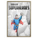 Poster World of Superheroes - superhero character and English captions 123641 additionalThumb 20