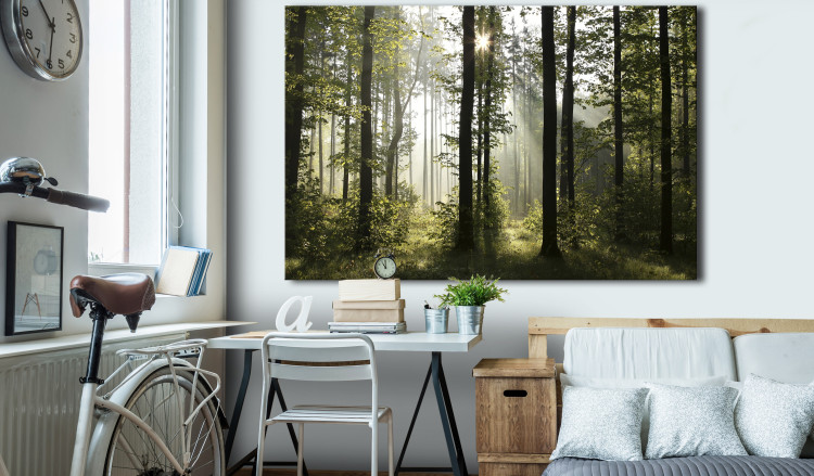 Large canvas print Forest: Beautiful Morning [Large Format] 128641 additionalImage 5