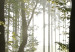 Large canvas print Forest: Beautiful Morning [Large Format] 128641 additionalThumb 3