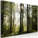 Large canvas print Forest: Beautiful Morning [Large Format] 128641 additionalThumb 2