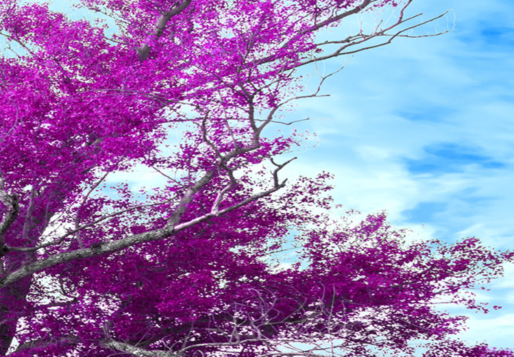 Large canvas print Tree near the Road - Violet II [Large Format] 128741 additionalImage 4