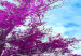 Large canvas print Tree near the Road - Violet II [Large Format] 128741 additionalThumb 4
