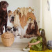Wall Mural Animal portrait - dogs with a brown labrador in the centre on a white background 129041 additionalThumb 4