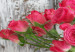 Canvas Roses in a Pot (5-part) wide - pink flowers in vintage style 129141 additionalThumb 5