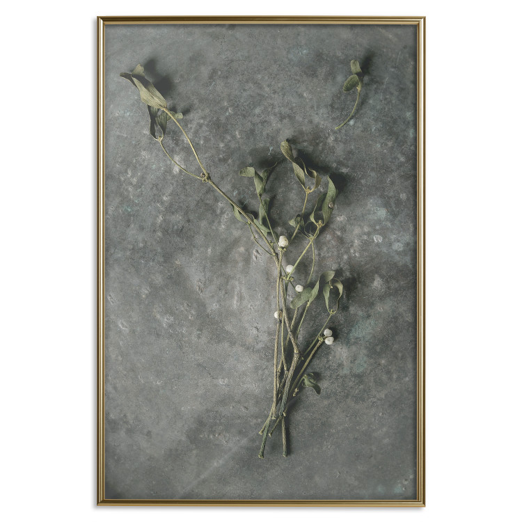 Wall Poster Evergreen Love - plant with white flowers lying on concrete 130741 additionalImage 21
