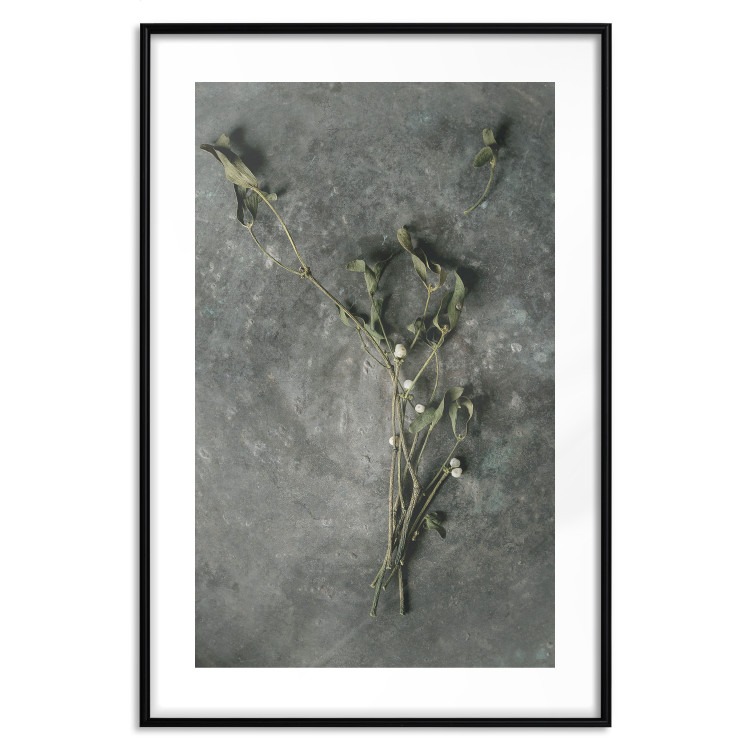 Wall Poster Evergreen Love - plant with white flowers lying on concrete 130741 additionalImage 17