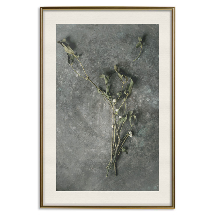 Wall Poster Evergreen Love - plant with white flowers lying on concrete 130741 additionalImage 20