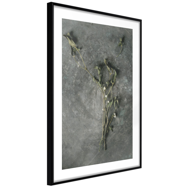 Wall Poster Evergreen Love - plant with white flowers lying on concrete 130741 additionalImage 8