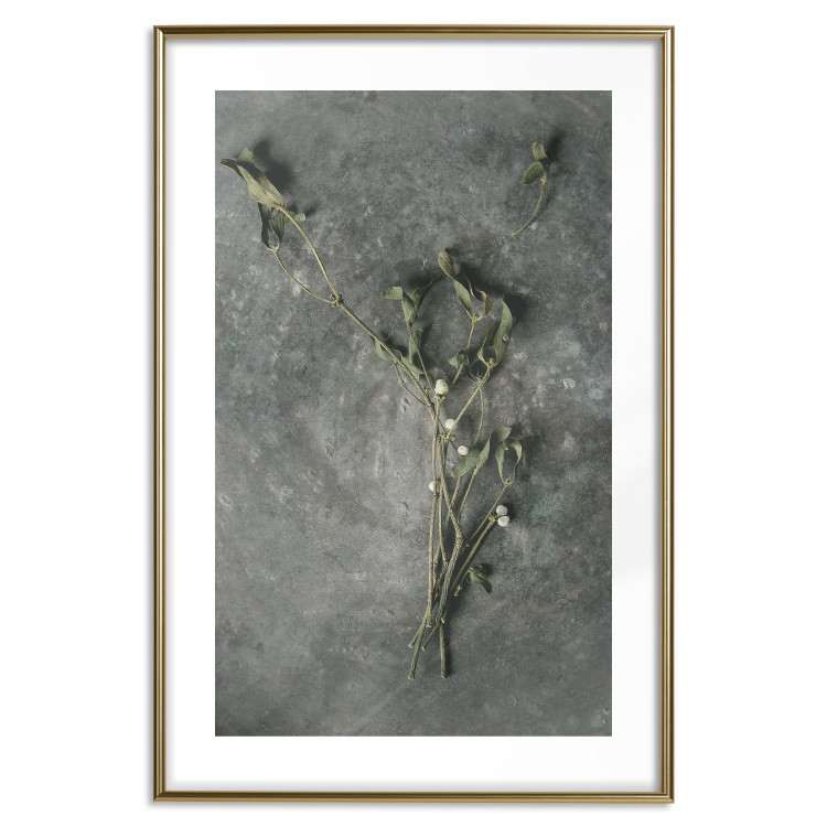 Wall Poster Evergreen Love - plant with white flowers lying on concrete 130741 additionalImage 16