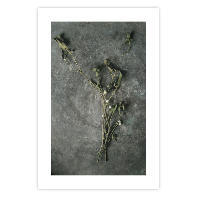 Wall Poster Evergreen Love - plant with white flowers lying on concrete 130741 additionalImage 19