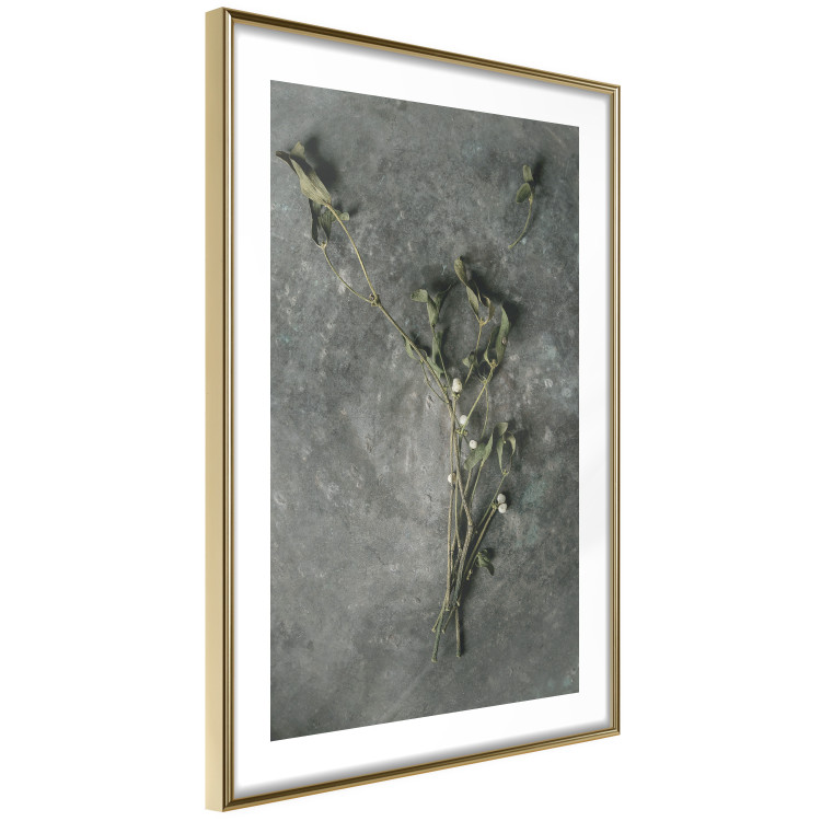Wall Poster Evergreen Love - plant with white flowers lying on concrete 130741 additionalImage 7
