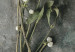 Wall Poster Evergreen Love - plant with white flowers lying on concrete 130741 additionalThumb 9