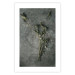 Wall Poster Evergreen Love - plant with white flowers lying on concrete 130741 additionalThumb 25