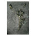 Wall Poster Evergreen Love - plant with white flowers lying on concrete 130741