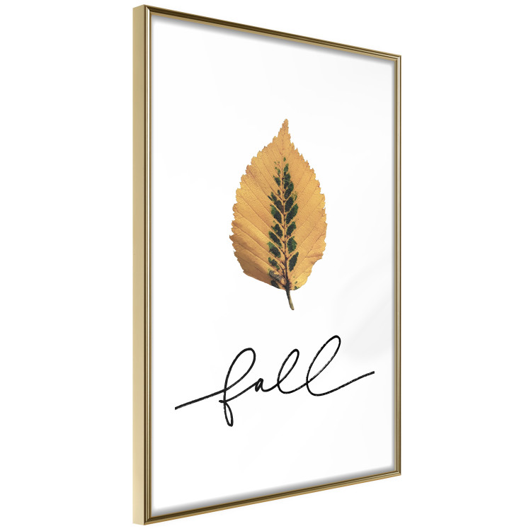 Poster Unusual Leaf - autumn yellow leaf on a contrasting white background 131841 additionalImage 9