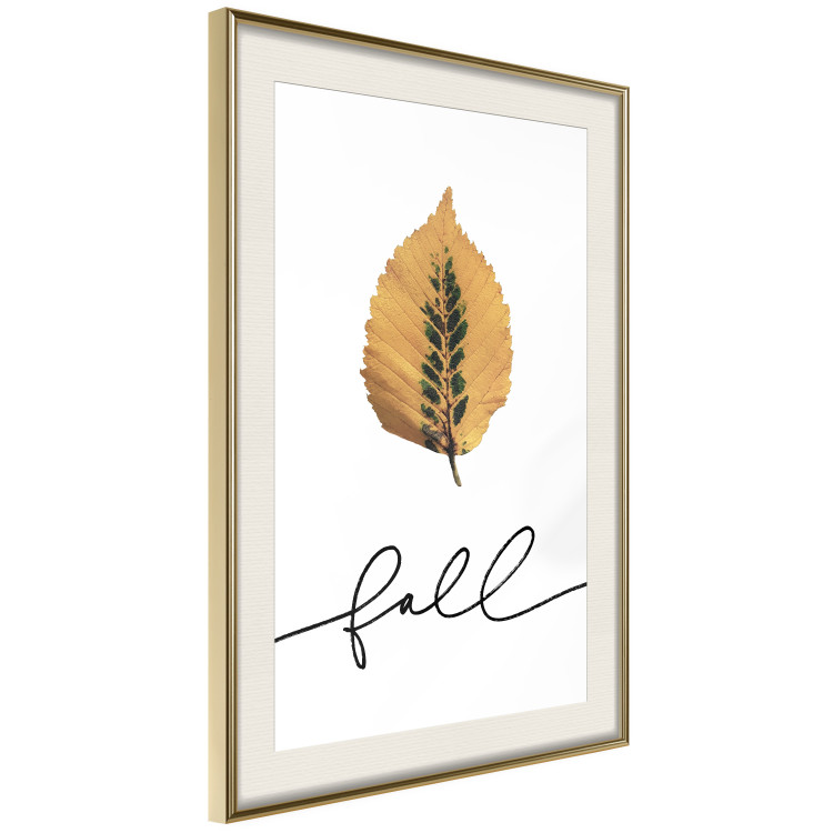 Poster Unusual Leaf - autumn yellow leaf on a contrasting white background 131841 additionalImage 3