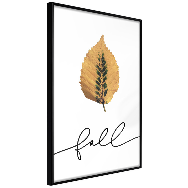 Poster Unusual Leaf - autumn yellow leaf on a contrasting white background 131841 additionalImage 11